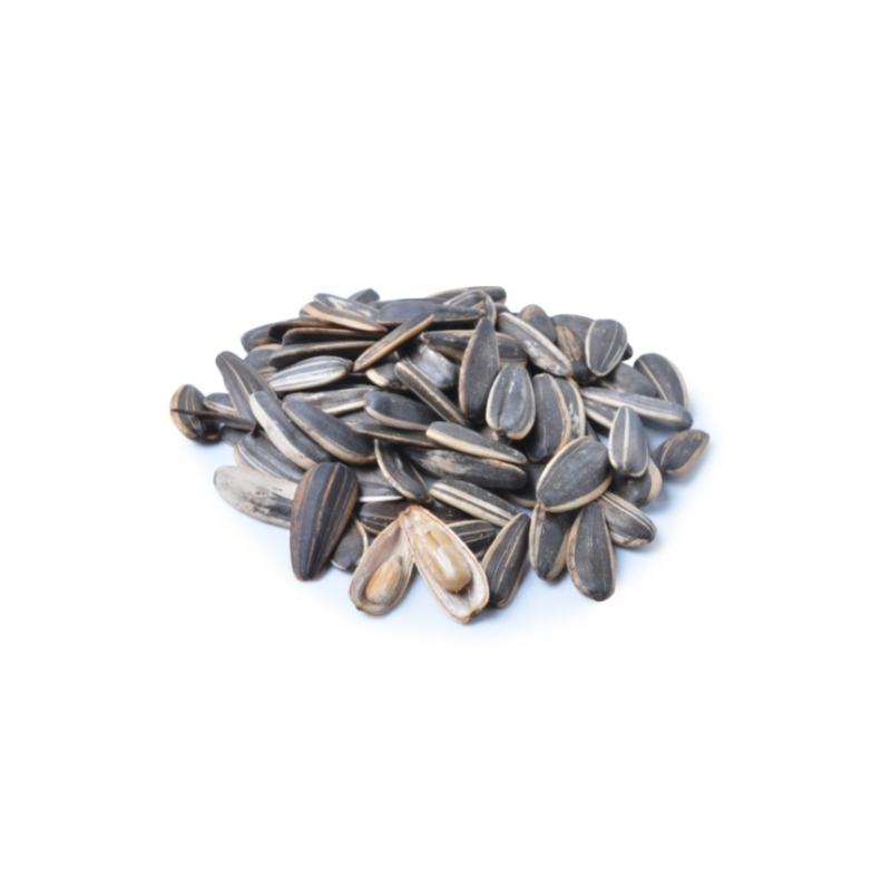 Philon Sunflower Seeds